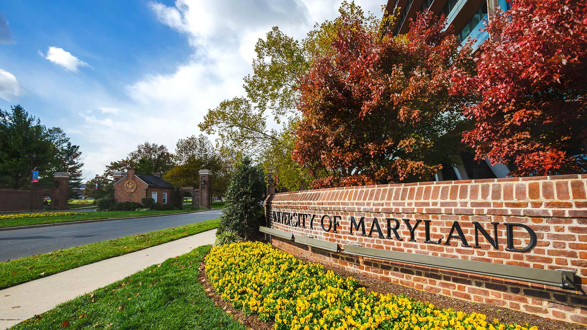 UMD Entry Sign